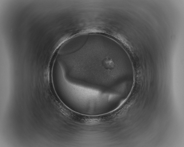 X0000116551173200912171343