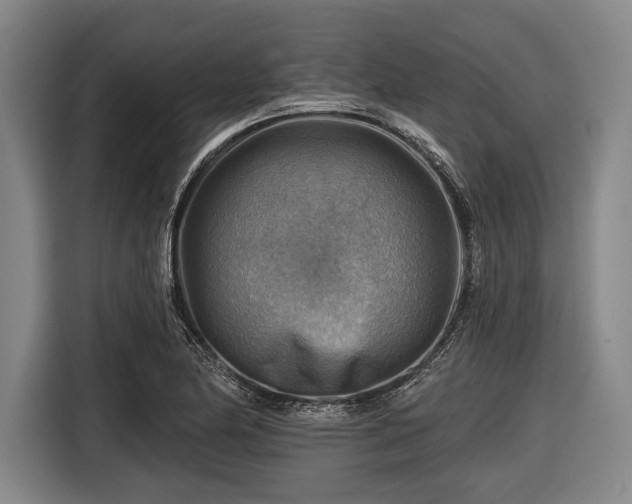 X0000116551174200912171343