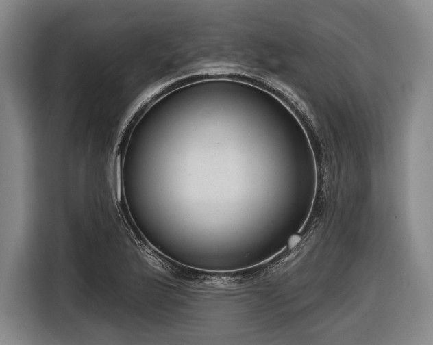 X0000116551175200912171343