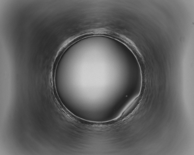 X0000116551176200912171343