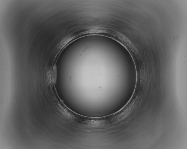 X0000116551177200912171343