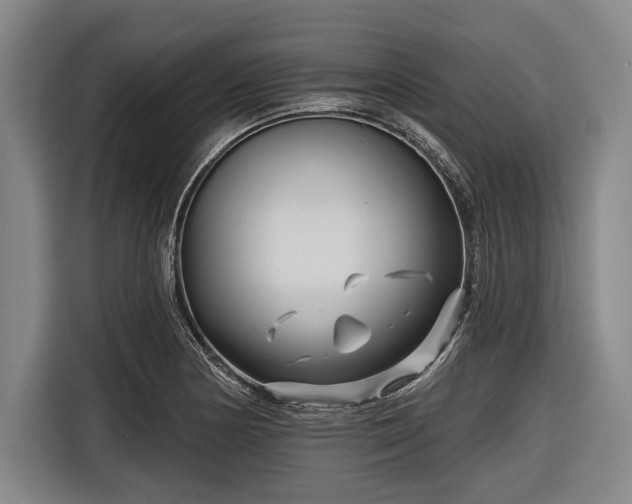 X0000116551178200912171343