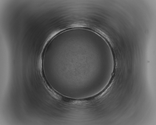 X0000116551179200912171343