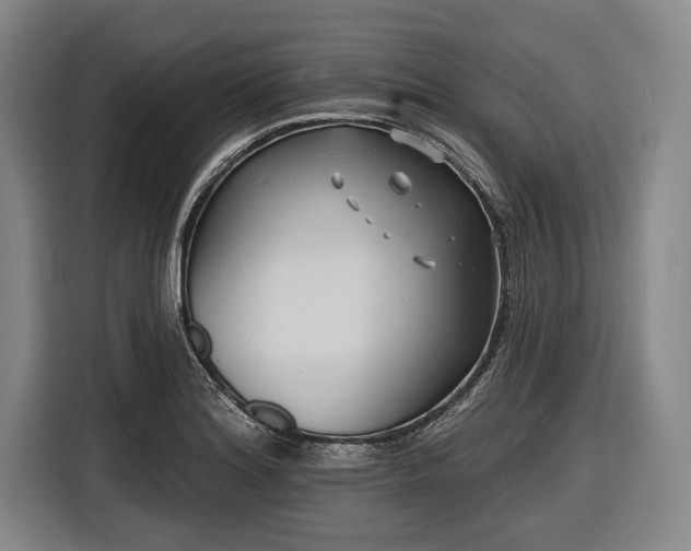 X0000116551180200912171343