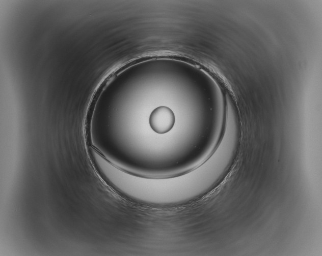 X0000116551181200912171343