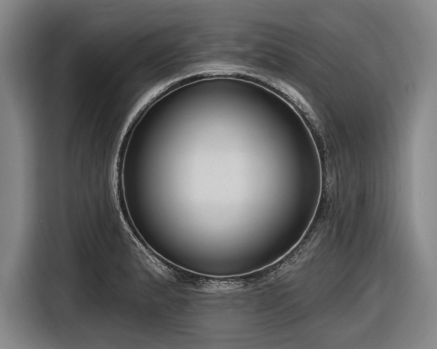 X0000116551183200912171343