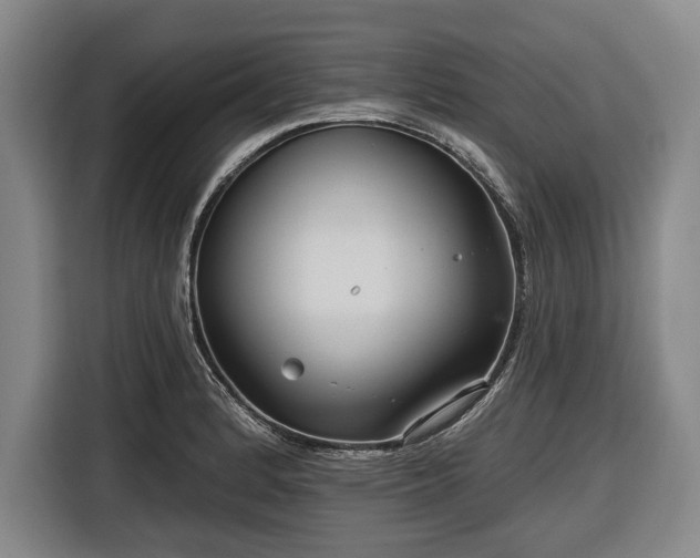 X0000116551184200912171343