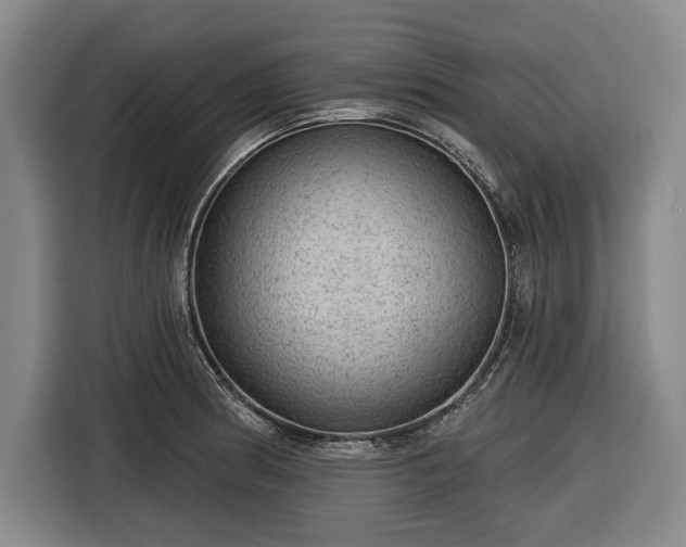 X0000116551186200912171343