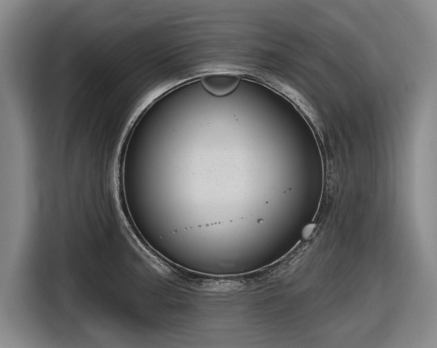 X0000116551187200912171343