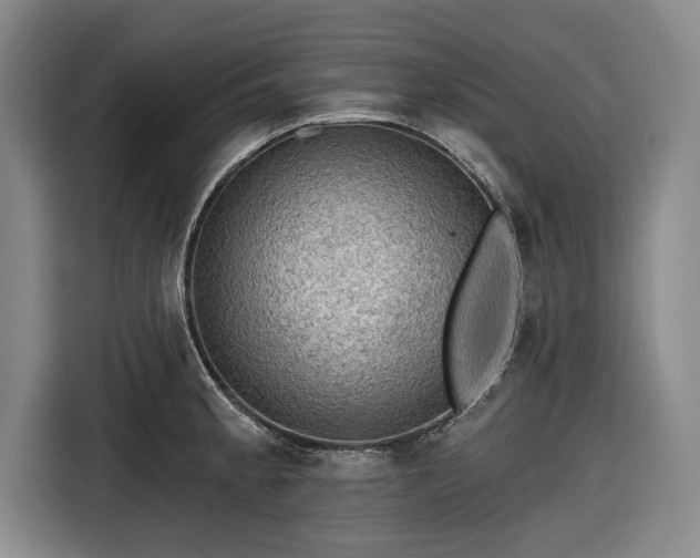 X0000116551189200912171343