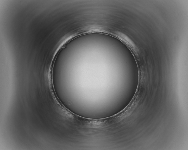 X0000116551190200912171343