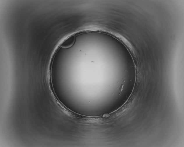 X0000116551191200912171343