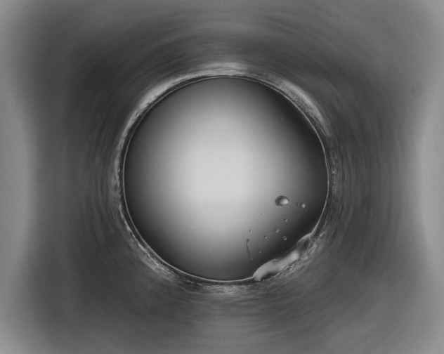 X0000116551192200912171343