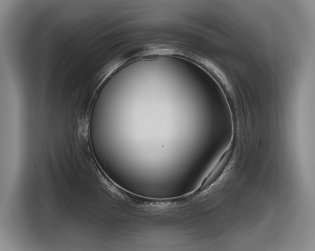 X0000116551193200912171343