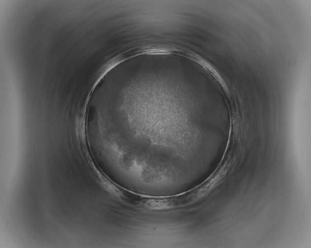 X0000116551194200912171343