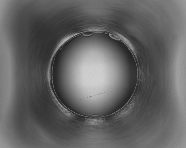 X0000116551195200912171343