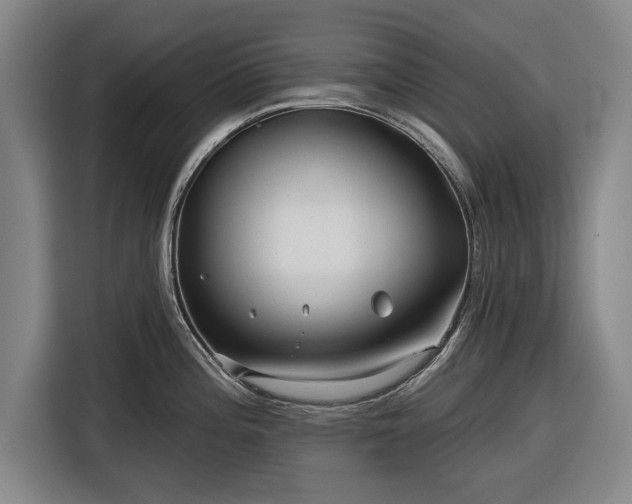 X0000116551196200912171343