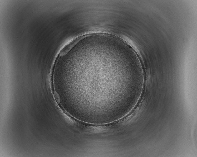 X0000116551197200912171343