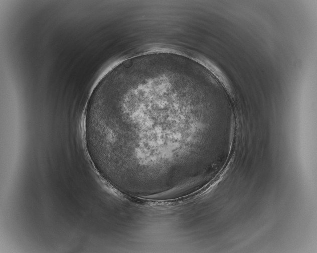 X0000116551198200912171343