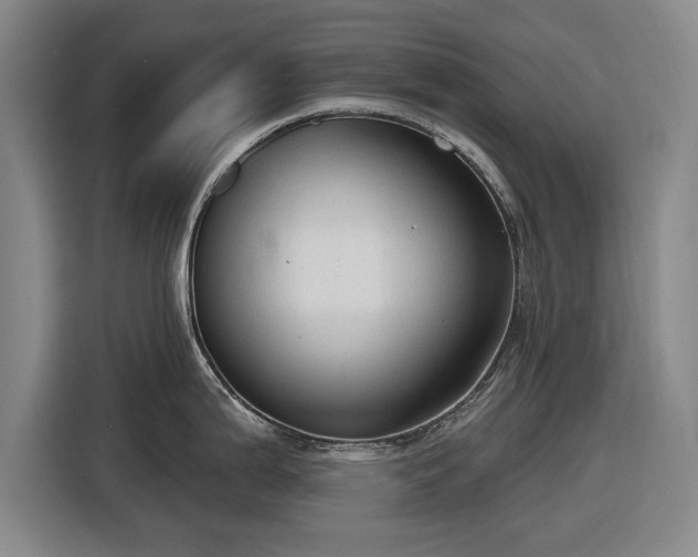 X0000116551199200912171343