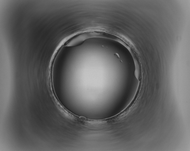 X0000116551200200912171343