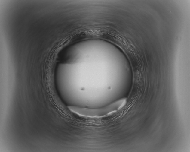 X0000116551201200912171342