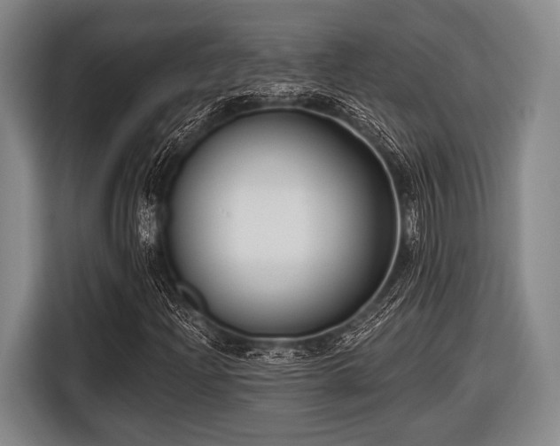 X0000116551204200912171342