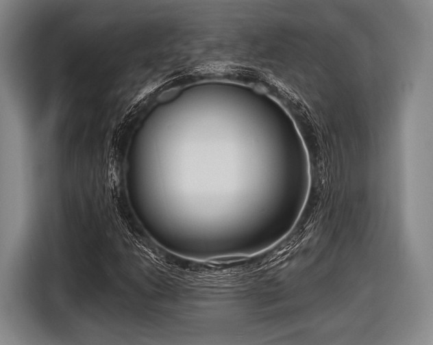 X0000116551206200912171342