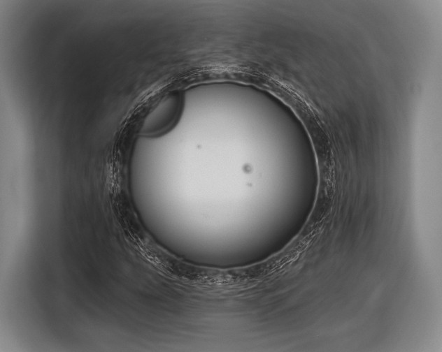 X0000116551207200912171342