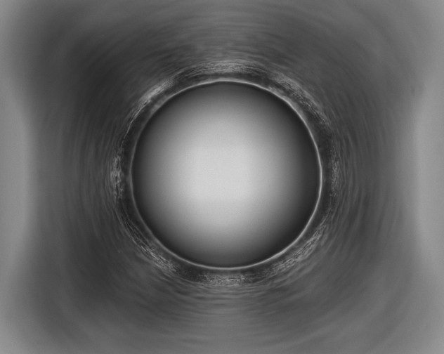 X0000116551210200912171342