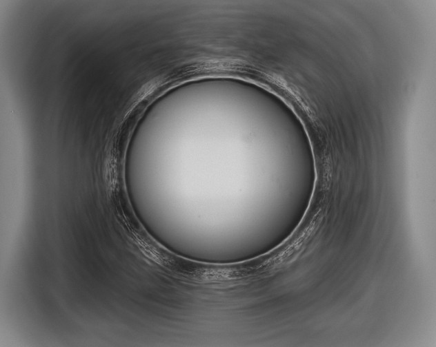 X0000116551211200912171342