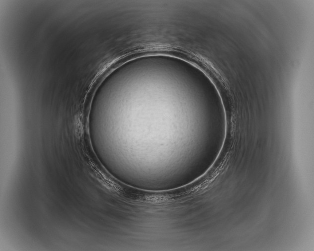 X0000116551212200912171342