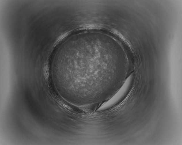 X0000116551213200912171342