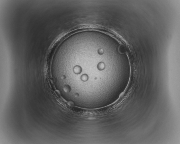 X0000116551215200912171342