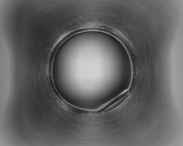 X0000116551216200912171342