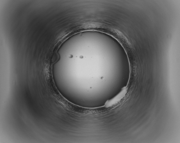 X0000116551217200912171342