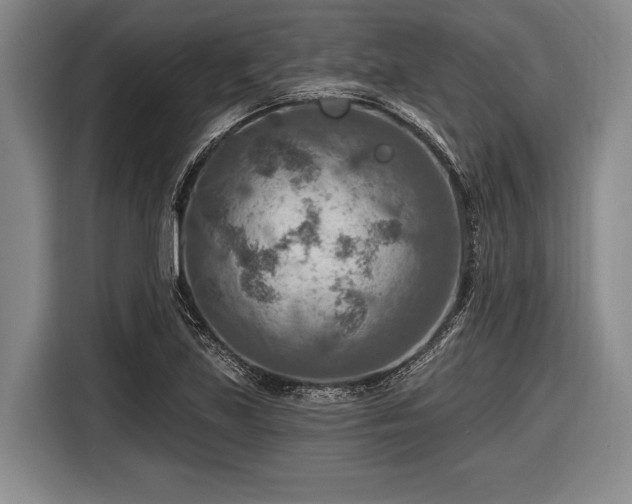 X0000116551219200912171342