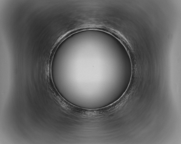 X0000116551220200912171342