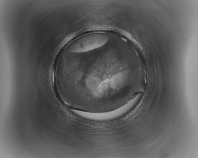 X0000116551221200912171342