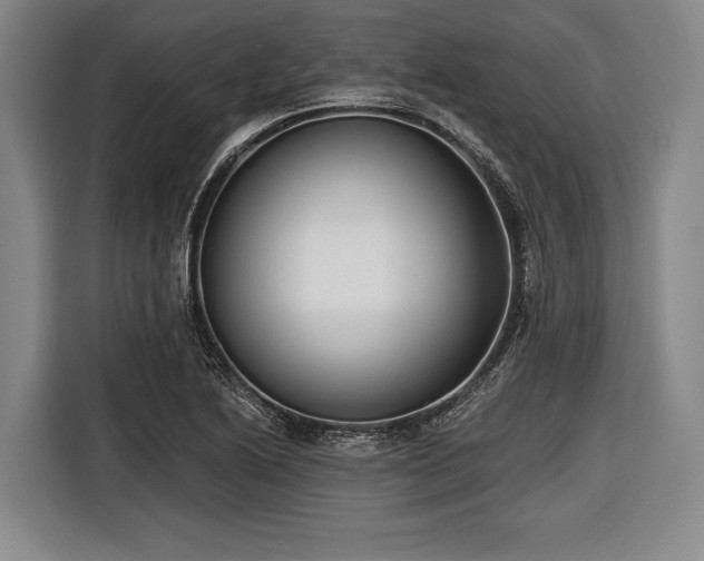 X0000116551222200912171342