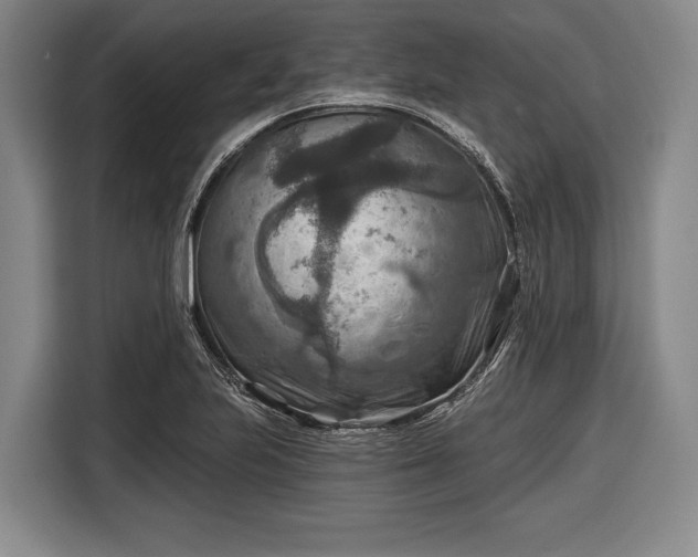 X0000116551223200912171342