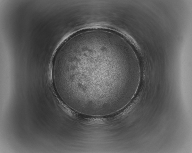 X0000116551224200912171342