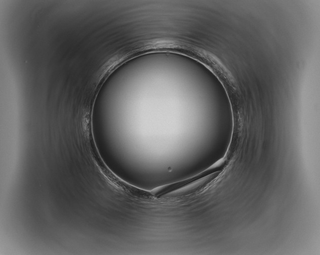 X0000116551225200912171342