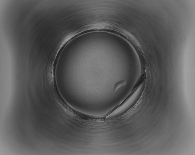 X0000116551226200912171342