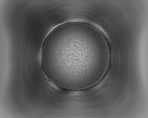 X0000116551228200912171342