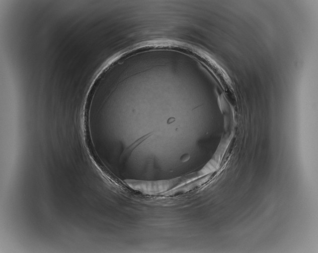 X0000116551229200912171342