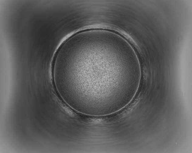 X0000116551230200912171342