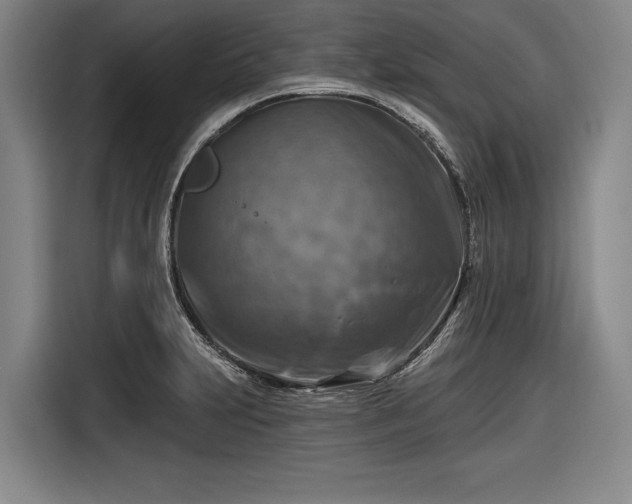 X0000116551231200912171342