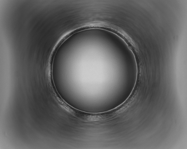 X0000116551232200912171342