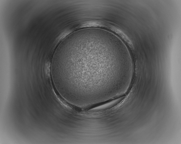 X0000116551233200912171342